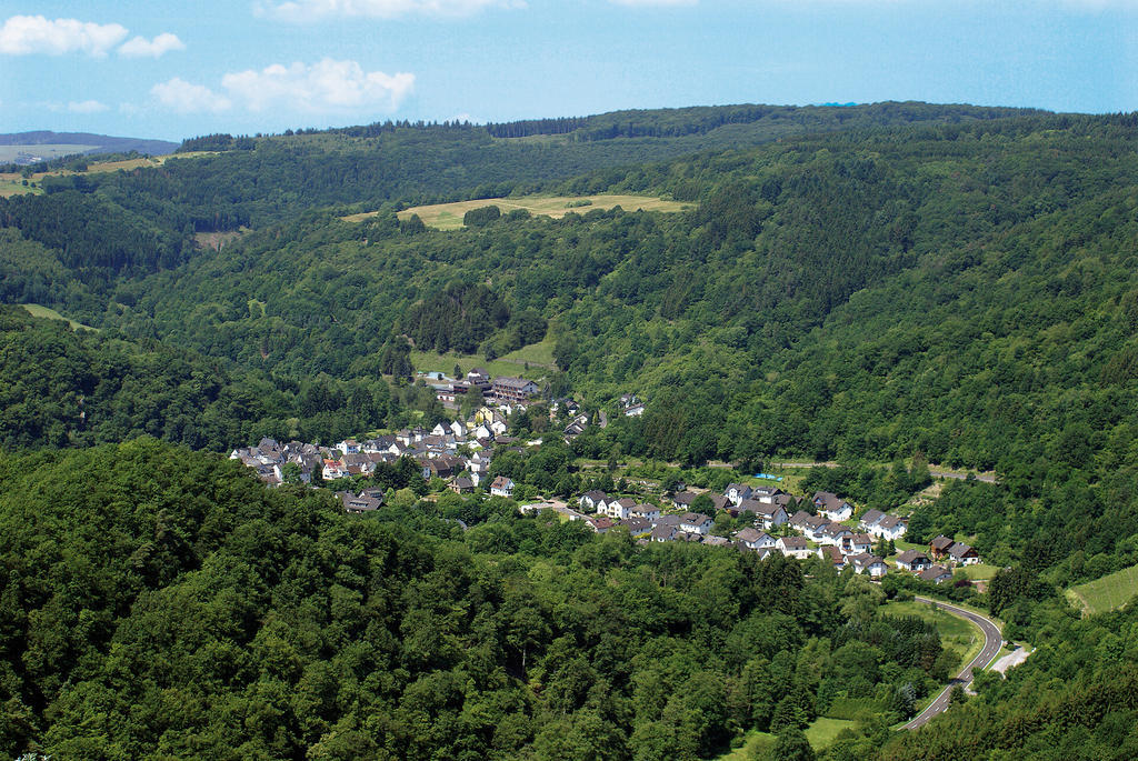 Landhotel Weinhaus Treis Weinaehr Exterior photo